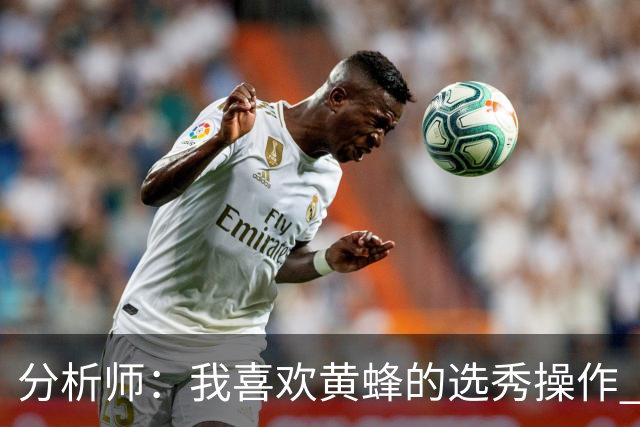 分析师：我喜欢黄蜂的选秀操作 施泰因巴赫简直是个内线巨兽