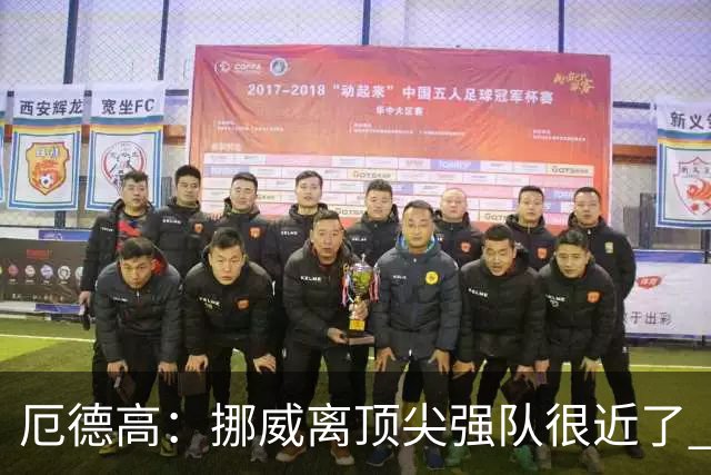 厄德高：挪威离顶尖强队很近了 开赛前说我们能到8强我绝不会相信