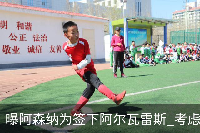 曝阿森纳为签下阿尔瓦雷斯 考虑用约克雷斯做交换筹码