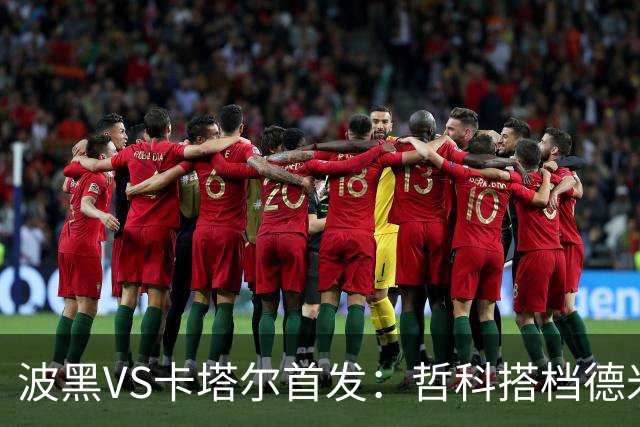 波黑VS卡塔尔首发：哲科搭档德米罗维奇 科拉希纳茨出战