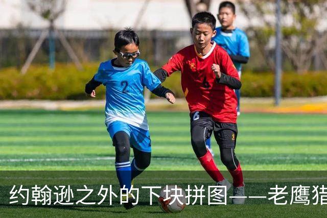 约翰逊之外的下块拼图——老鹰猎物清单与操作空间全解析
