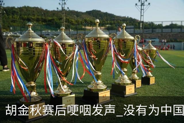 胡金秋赛后哽咽发声 没有为中国男篮做更多，网友:你做的已够多了