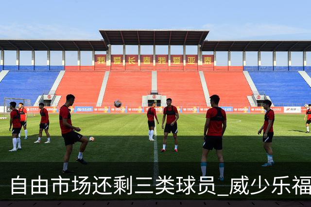 自由市场还剩三类球员 威少乐福领衔失业大军？
