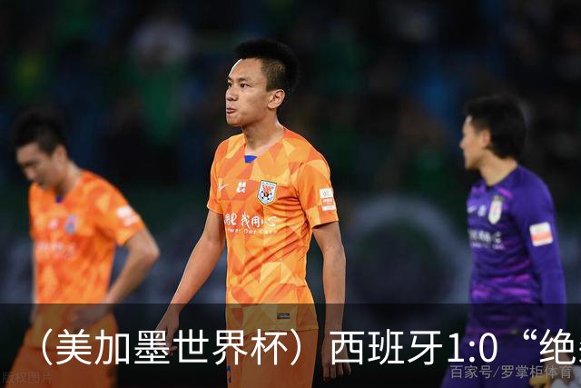 （美加墨世界杯）西班牙1:0“绝杀”葡萄牙 C罗结束世界杯征程